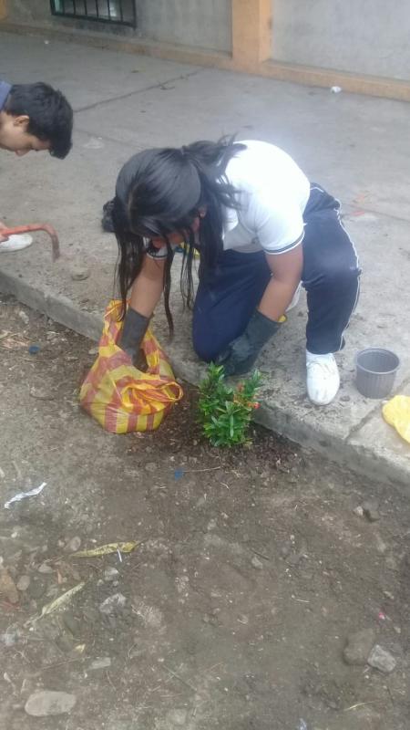 AYUDANDO AL MEDIO AMBIENTE CON LA TAPATON 2019