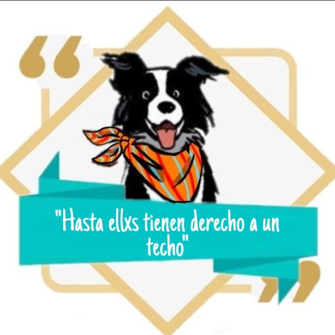 Cuchitas para perro