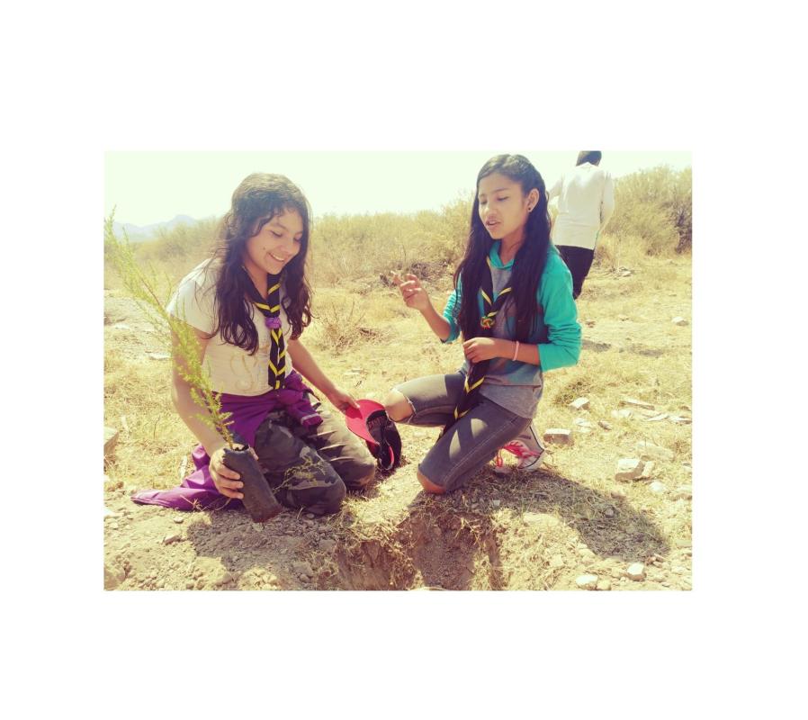 Ayudando a la madre naturaleza