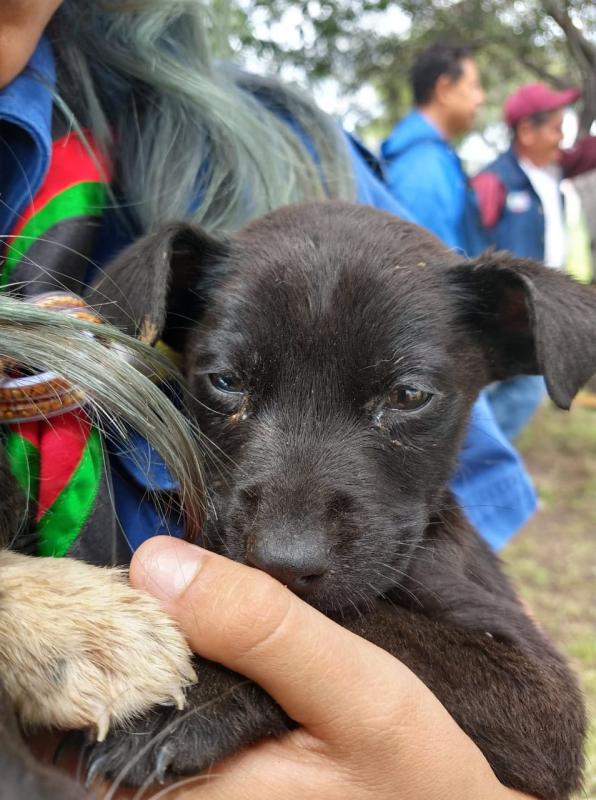 Huellitas de Esperanza