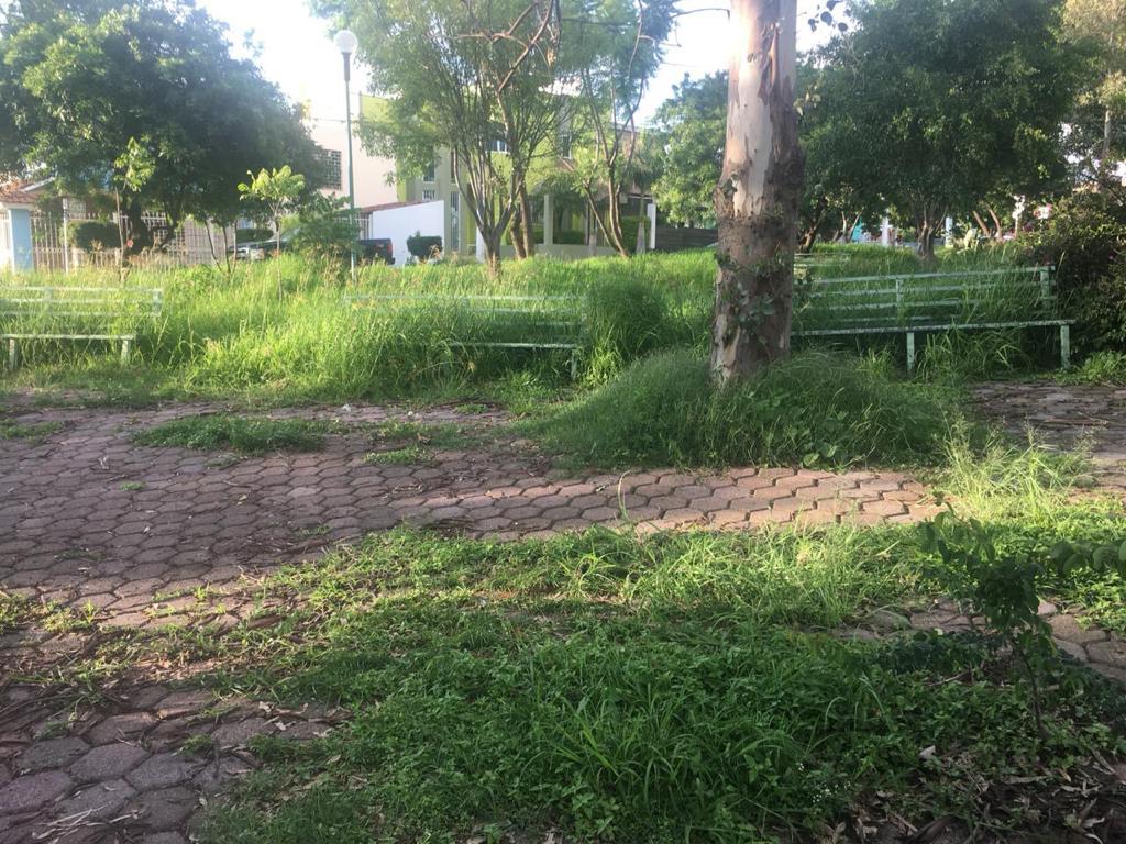 Rehabilitacion de Parque