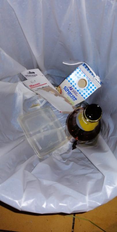 Insignia Mundial Mares Limpios