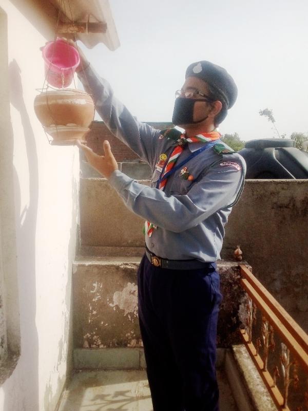 Save Birds College. Bundi