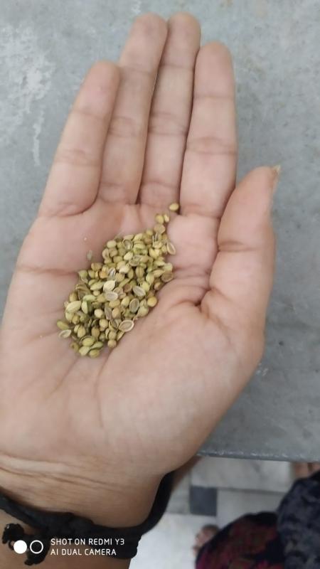 Sankalp - #Go Organic