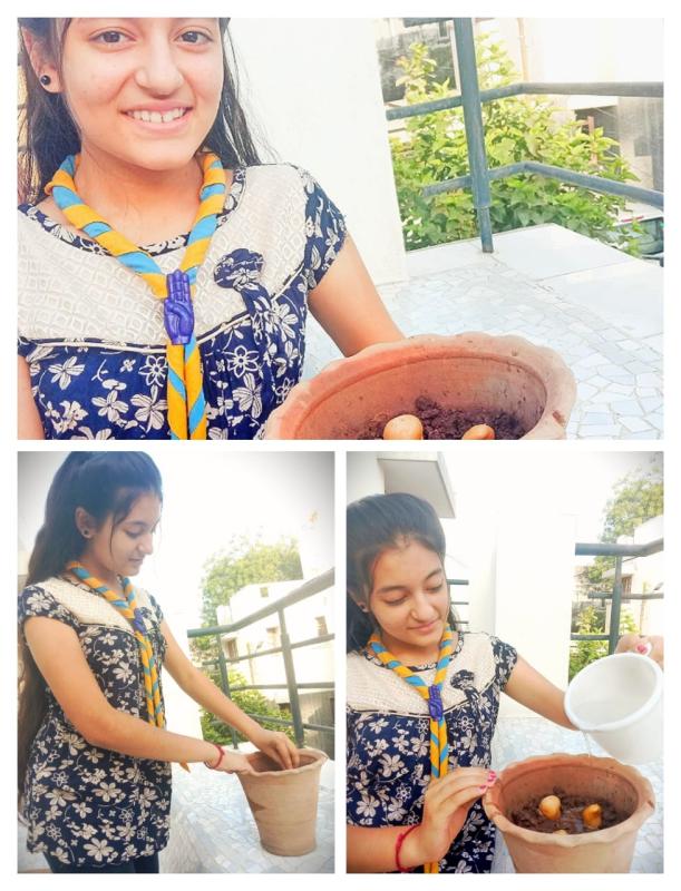 Sankalp - Group B - Challenge 4: #Goorganic