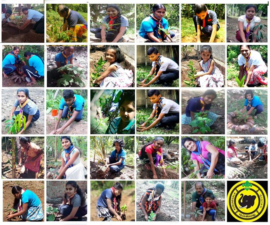 PLANTING TREE  -agains't COVID-19