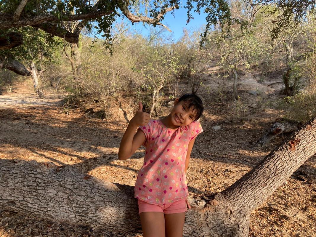 Limpia  tus arroyos  y playas y evitaras que se mueran muchos animales en el mar. 