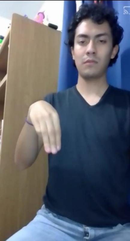 Mis manos que hablan: Curso básico de LSM online