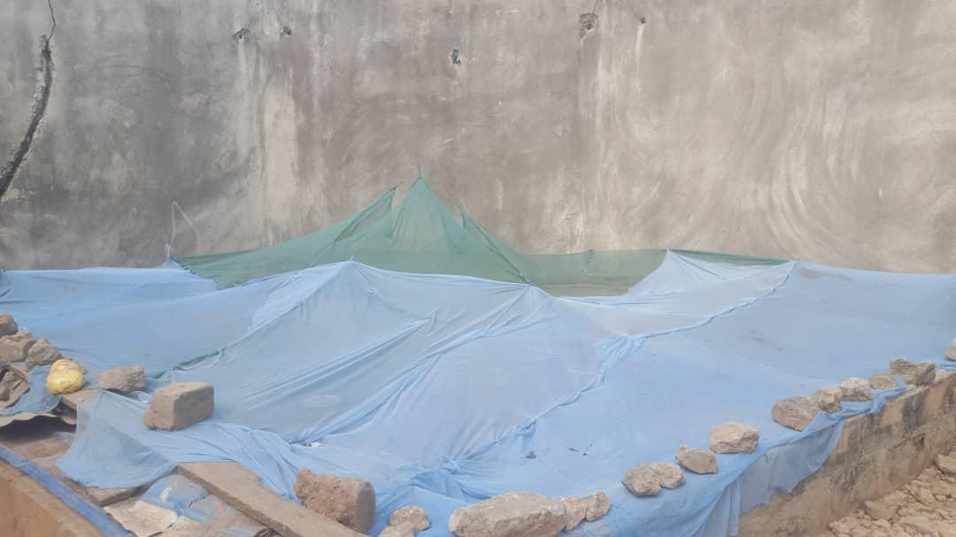 We recycle I : Poulailler fait maison avec des moustiquaires recyclés