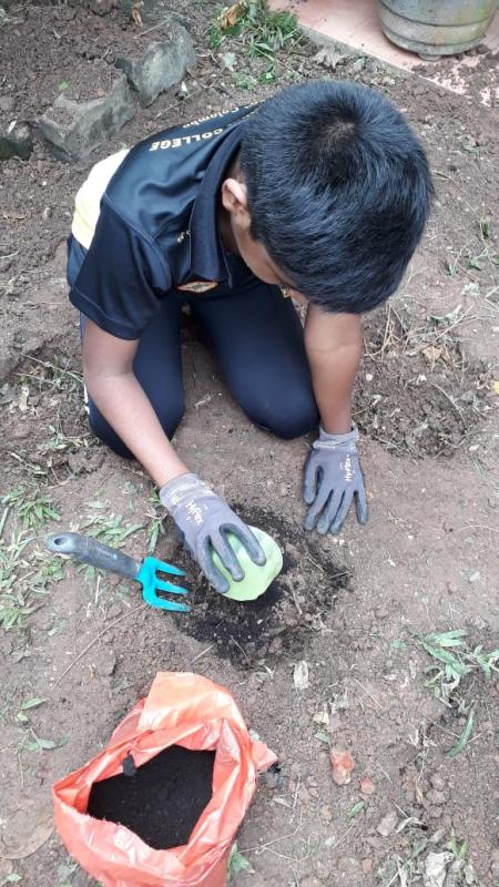 planting And Study
