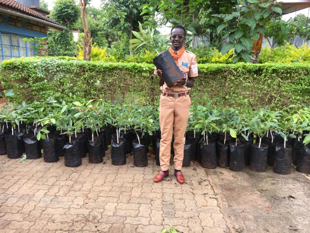 Planting of 100 Hass Avocado Seedlings