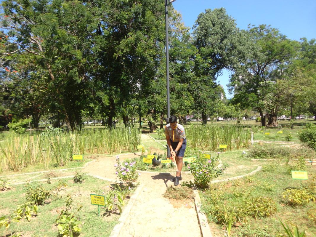 Tree Planting, Watering, Gardening Social Service Project at Viharamahadevi Park, Colombo