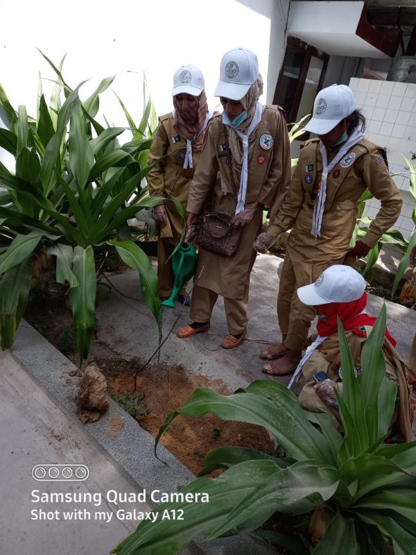 Clean & Green Actions