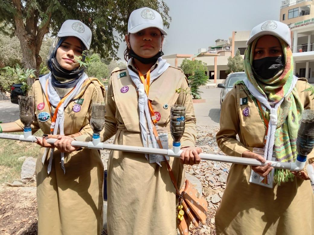 Green Wall & Tree Plantation