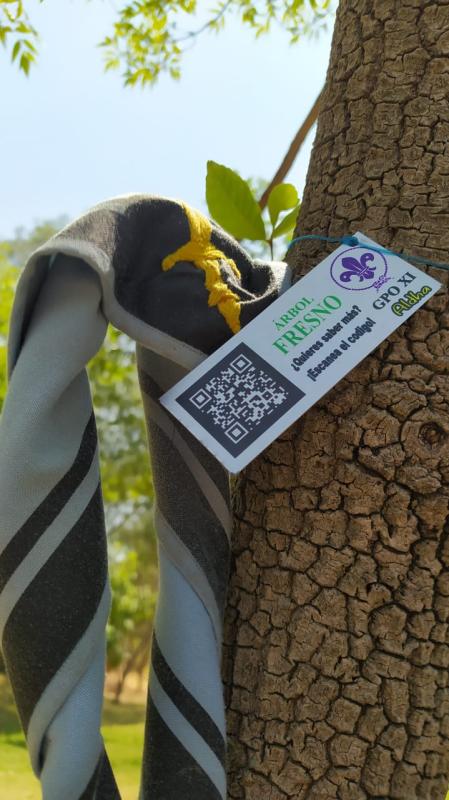 A LOS ÁRBOLES DILES POR SU NOMBRE