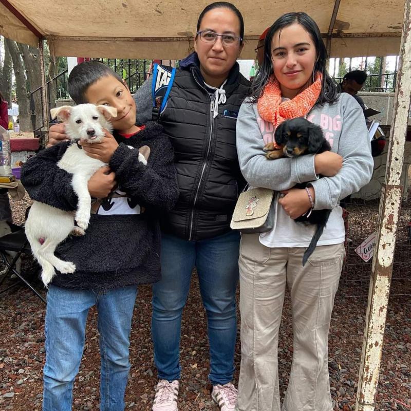 rescata y regala una oportunidad de vida