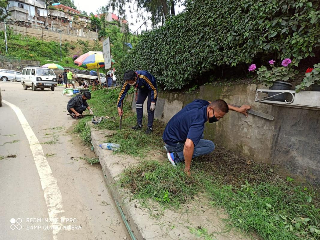 Observing World Environment Day 2020