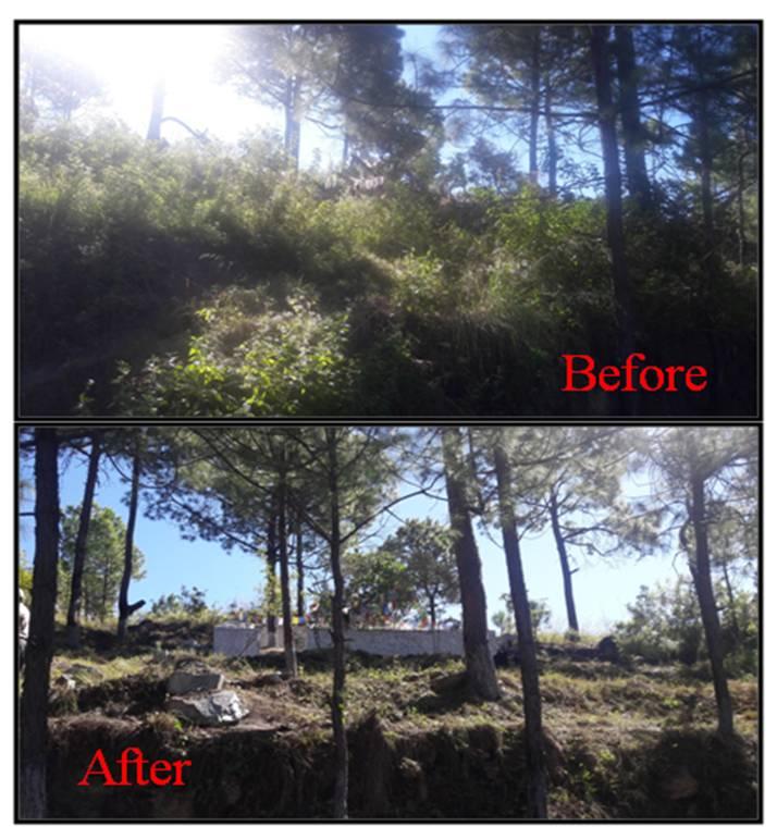 Revitalizing the sacred place