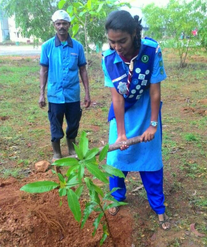 Ensure environmental sustainability