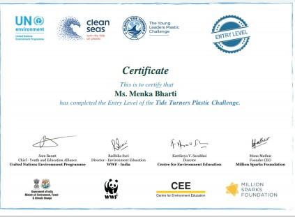 Plastic Tide Turners Challenge