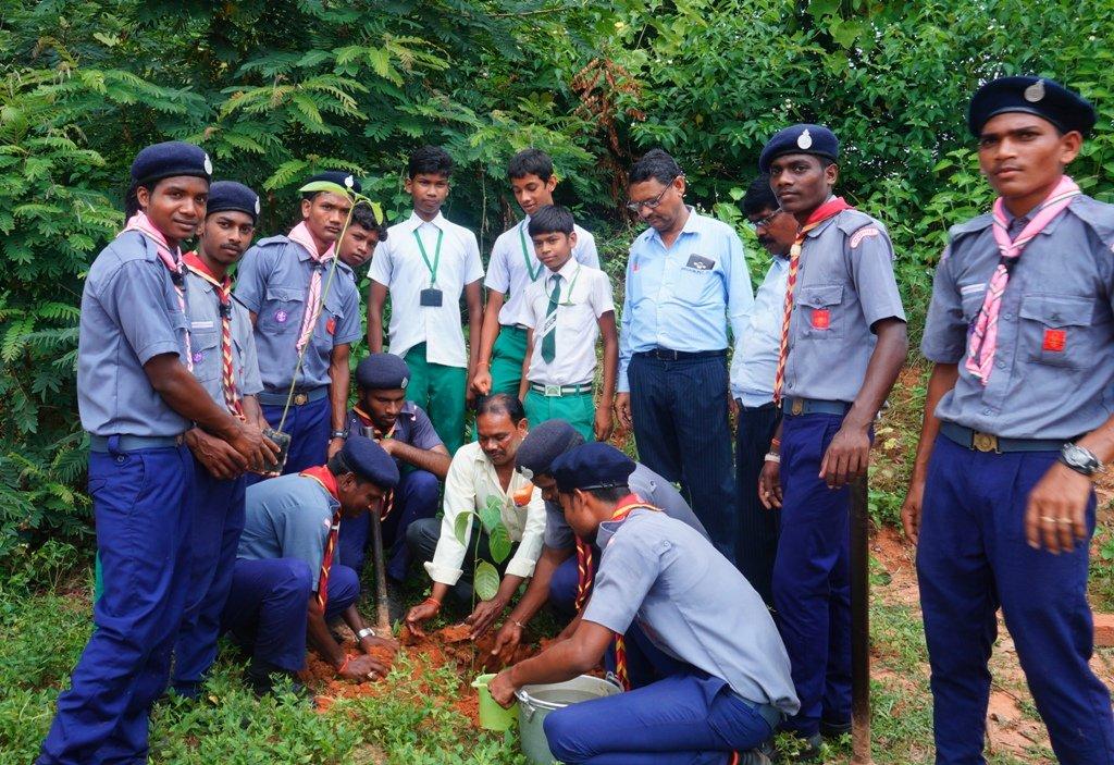 Tree Plantation
