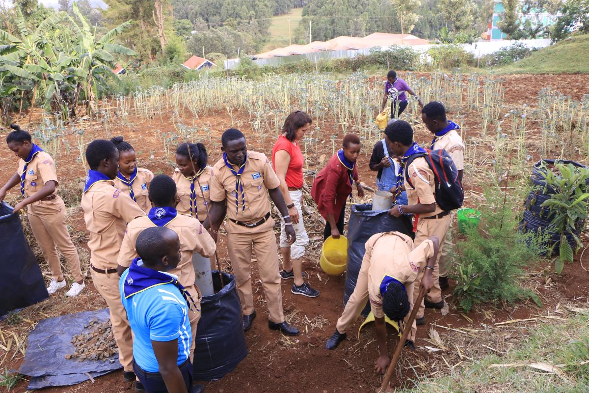 Scouting for Hope Kenya activates Scouts to do Smart Agriculture