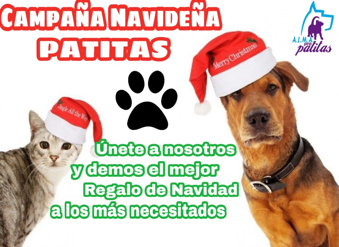 Recolectando para Alma Pro Patitas