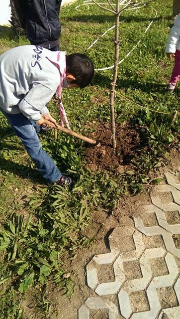 CAP : activity 05 / 10 : " PLANT"