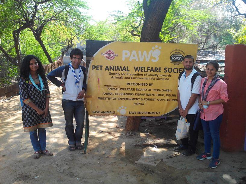 Visit to a Dog Shelter Home