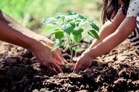 CLIMATE CHANGE : START THE CHANGE