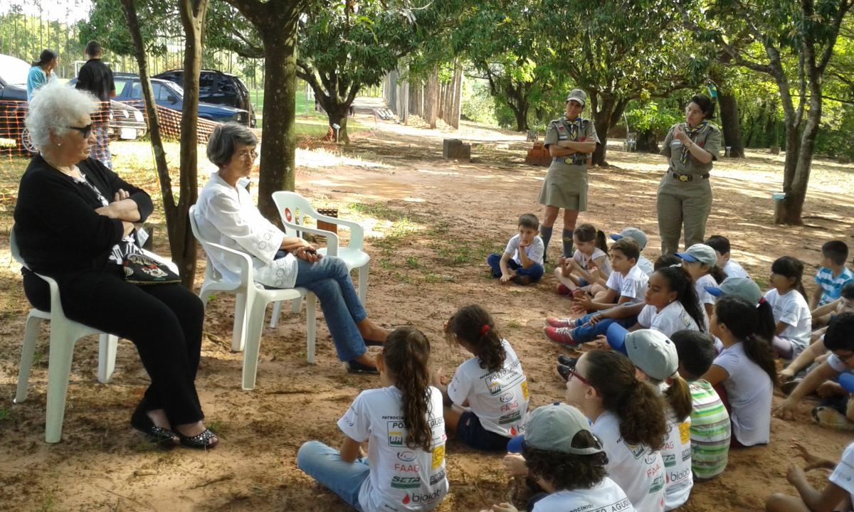 Contando histórias