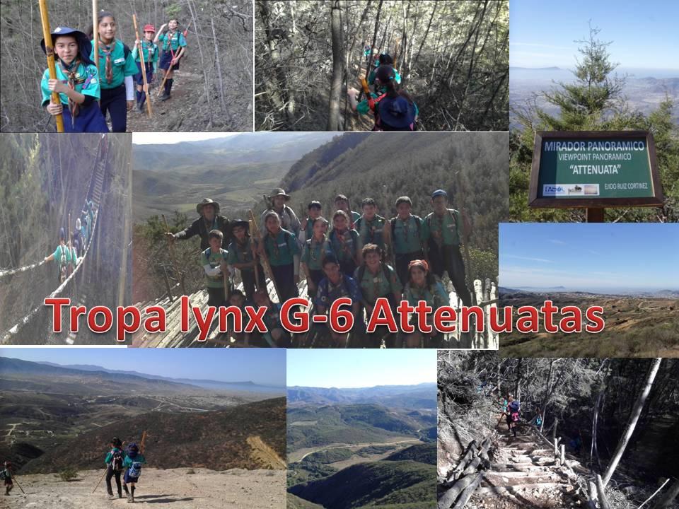 RETO 8 JOTA JOTI