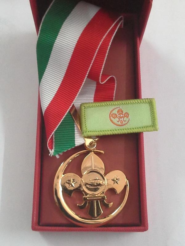 Enhancing Youth Programme through motivated Adult Leader