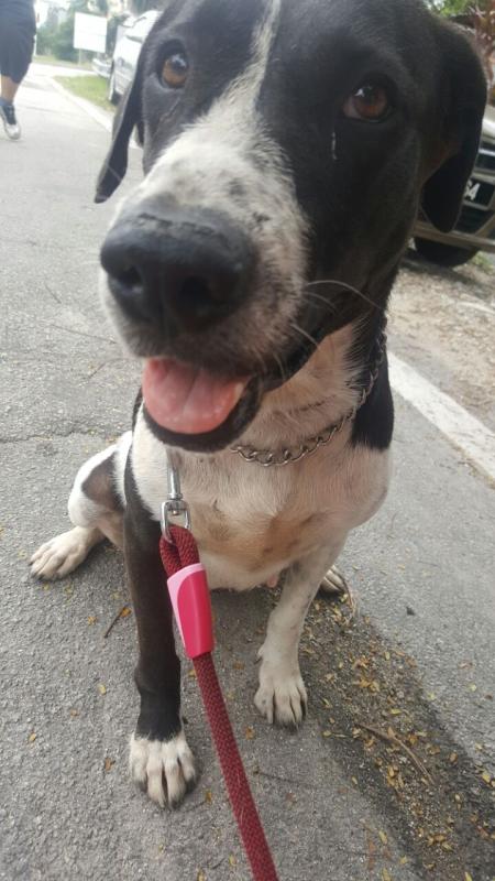 Aaron's Good Deeds at fav volunteering place