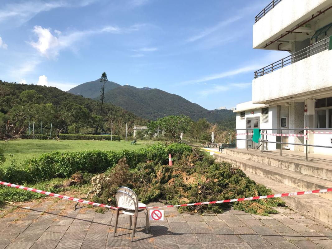 Clean up of Tai Tam Scout Center
