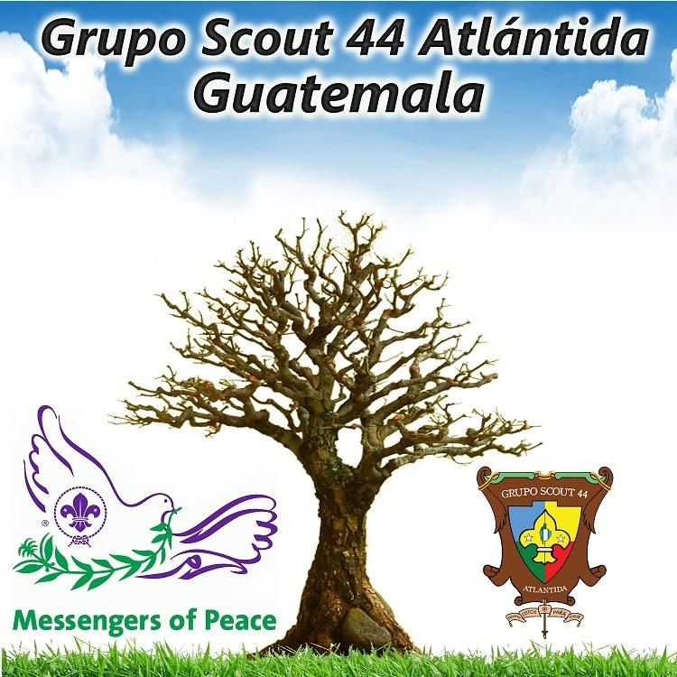 Nuestro Árbol de Oraciones