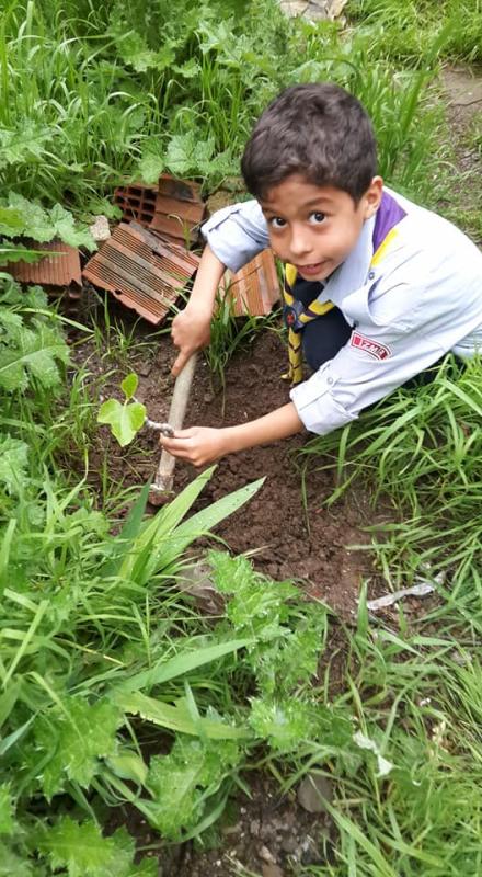 CAP : activity 05 / 10 : " PLANT"