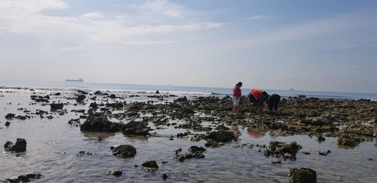 Diversidad de fitoplancton en zona costera del puerto de Veracruz