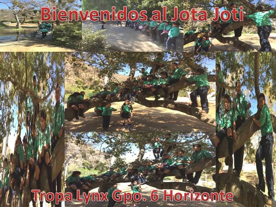 reto 1 jota joti