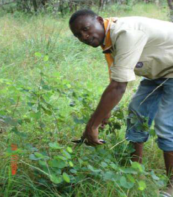 Biodiversity for Life