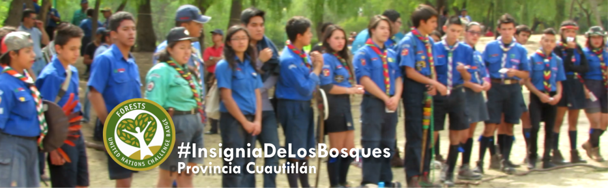 Insignia de los bosques | Comunidad de caminantes 