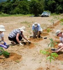 Planting many kinds of Trees in Cagayan de Oro , Philippines to avoid flashfloods