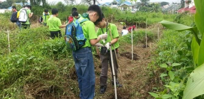 CKSC Scouts joins Tree Planting