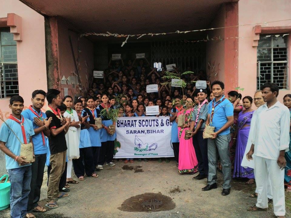 Plantation on world peace day