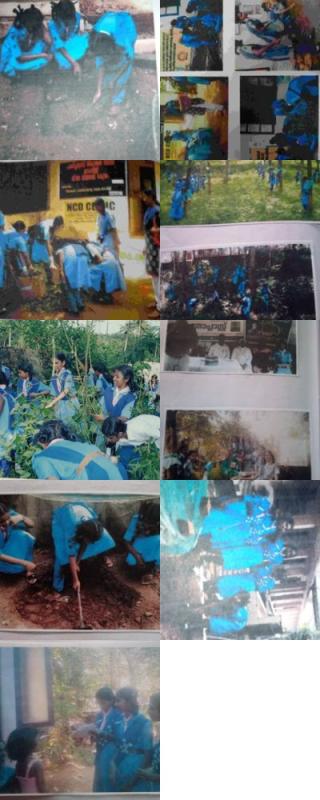SUSTAINED COMMUNITY DEVELOPMENT PROJECT
