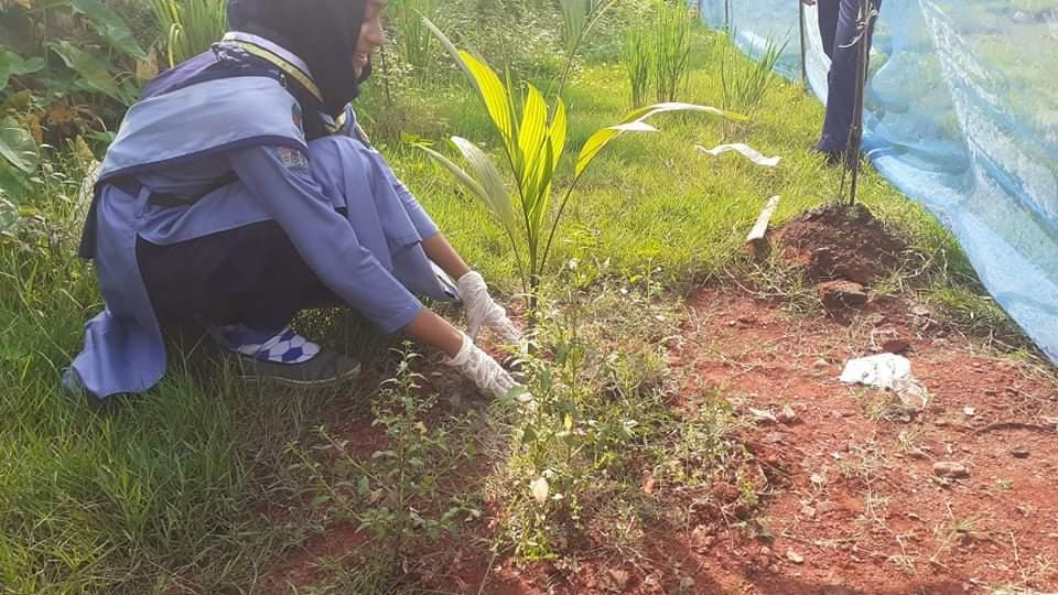 বৃক্ষরোপণ কর্মসূচি। 