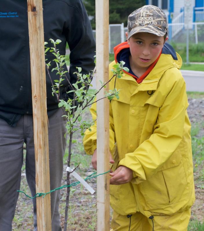 Edible Trees 