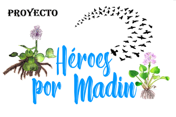 HÉROES POR MADIN