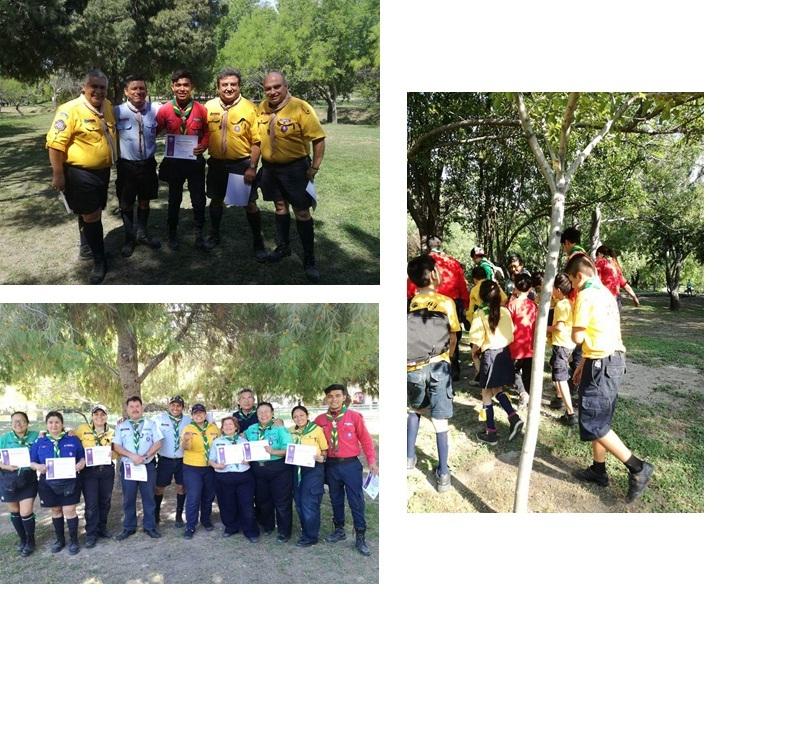 SERVICIO PARA MEJORAR ACTIVIDADES DE MANADA