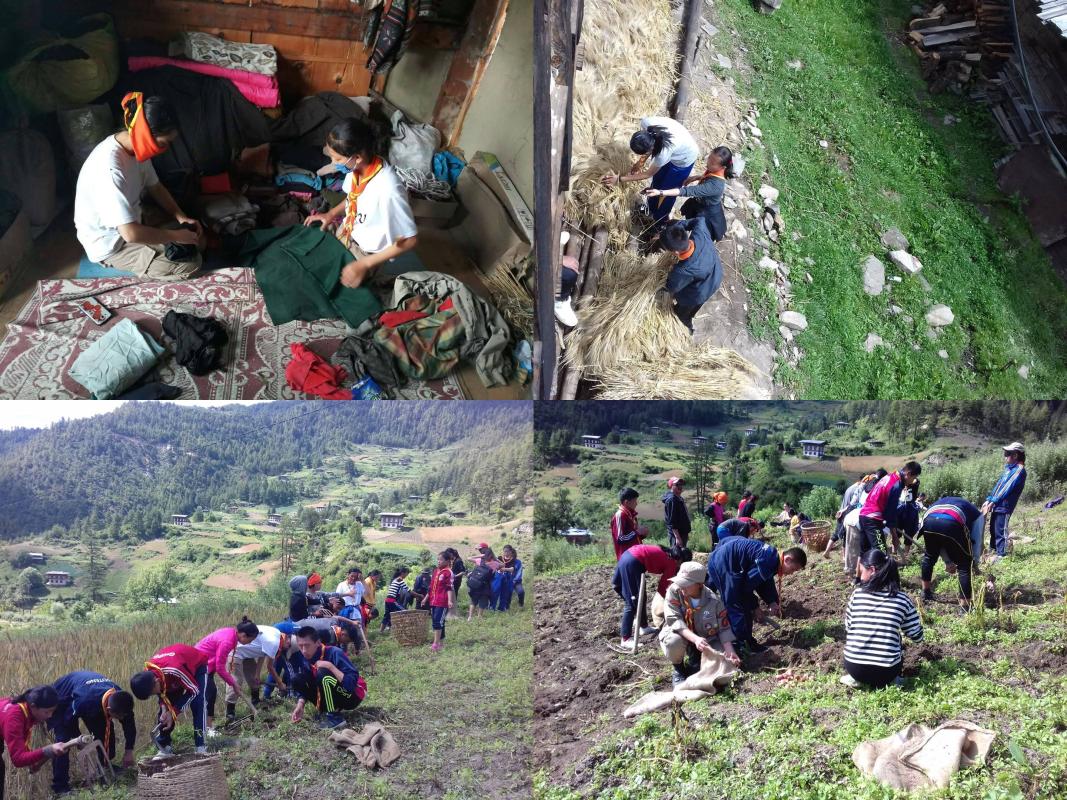 Spreading peace through community service